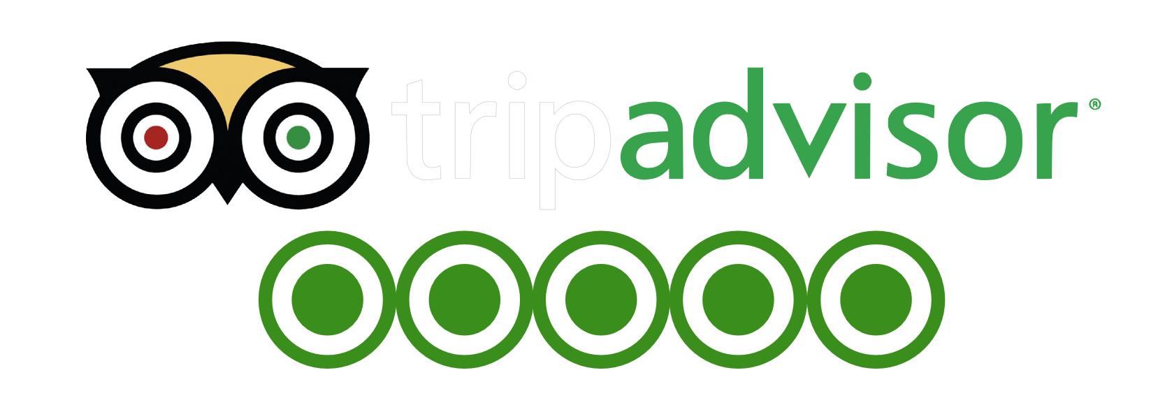 tripadvisor